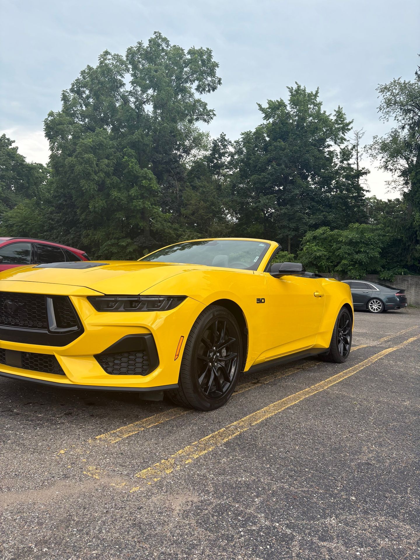 MOBILE CAR DETAILING PACKAGES